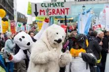 Demonstrators dressed as dog, polar bear and penguin