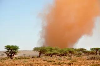 oxfam_east_africa_-_somalilanddrought016.jpg