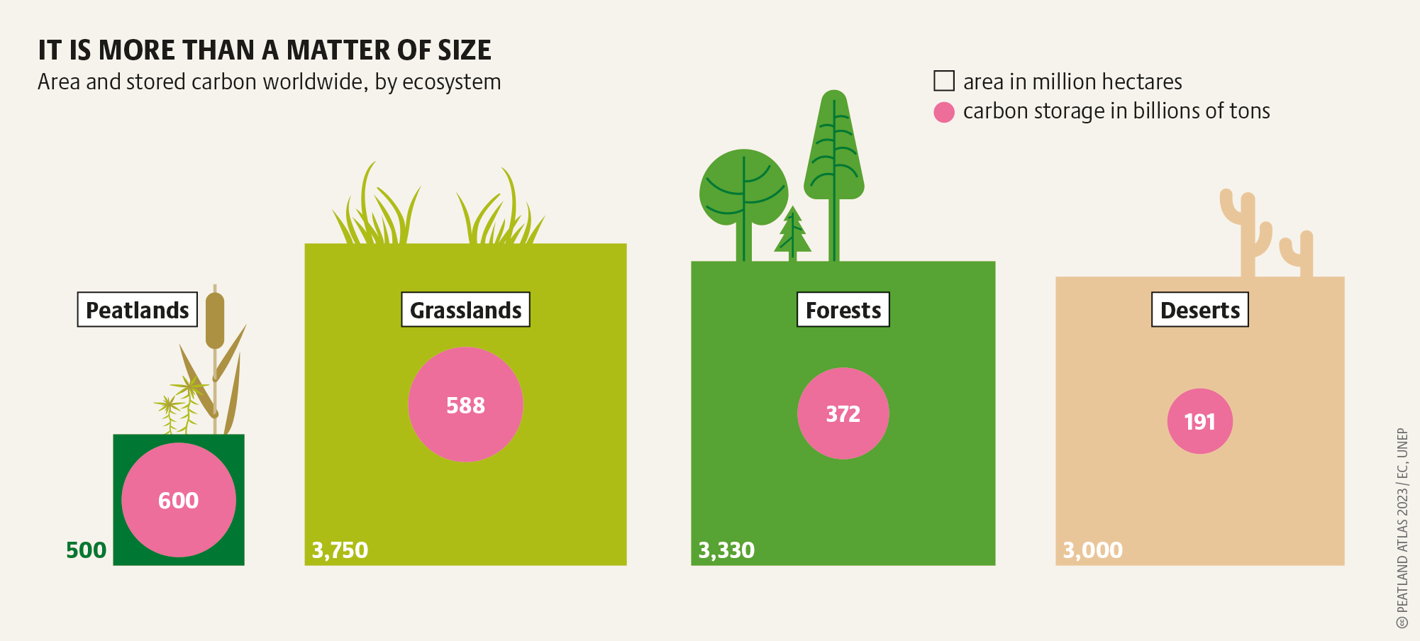 What are mires and peatlands? A very special ecosystem | Heinrich Böll ...