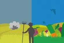 Man in the colorful field