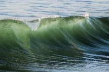 Green wave