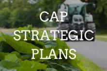 German Environment Ministry Proposals For CAP Green Architecture