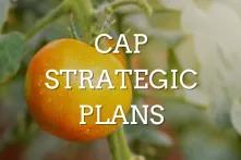 Commission’ s recommendations to the CAP Strategic Plans: glitters or gold?