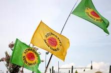  Fessenheim-Demo XIII