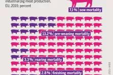 The enormous economy of scale in slaughterhouses has resulted in huge units with a far-flung network of dependent animal suppliers