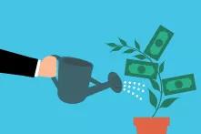 investment-money-cash-watering-tree-hand-1625828-pxhere.com_web.png