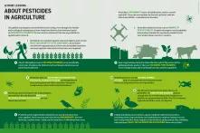 12 brief lessons about pesticides in agriculture