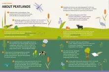 peatlandatlas2023_grafik_1011.png