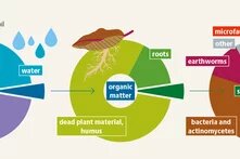 soilatlas2024_grafik_10