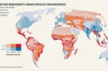 Soil Atlas 2024: Facts and figures about a vital resource