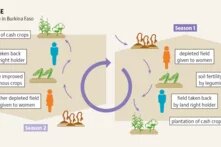 soilatlas2024_grafik_37a