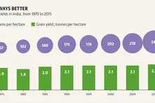 soilatlas2024_grafik_45a