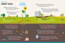 Soil Atlas 2024: Facts and figures about a vital resource