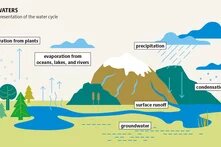 Human interventions alter the water cycle. In the Congo Basin, deforestation of the rainforest could cut local rainfall by 10 percent