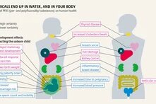CHEMICALS END UP IN WATER, AND IN YOUR BODY