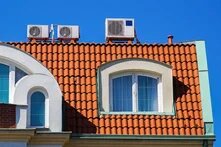 © Lazslo66 / Shutterstock