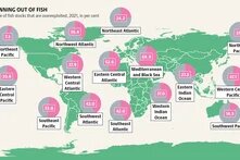 agribusinessatlas2026_graphic_17a.png