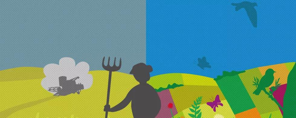 Man in the colorful field