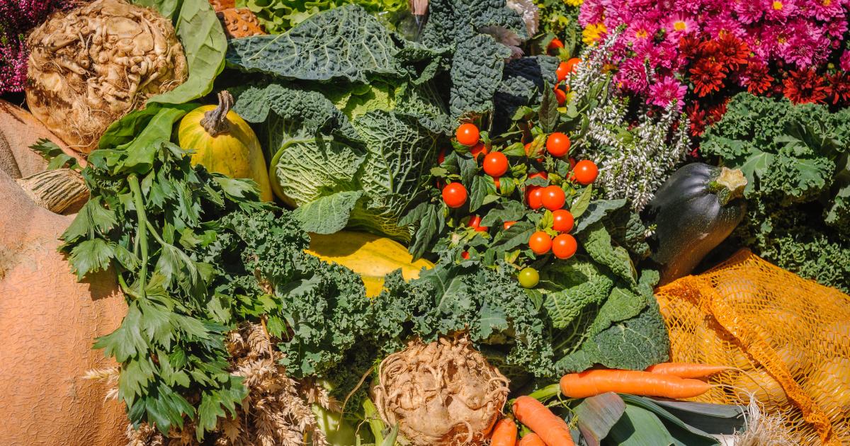 Building blocks for a sustainable and resilient food system: the post ...