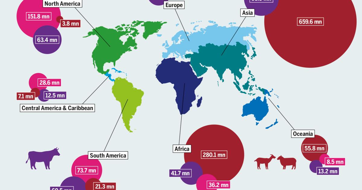 Abattoirs: chopping but not changing | Heinrich Böll Stiftung ...