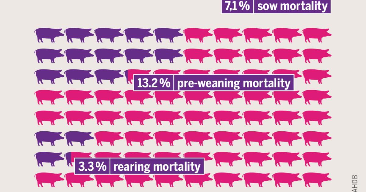 Meat waste a lot less than the whole fog Heinrich Böll Stiftung