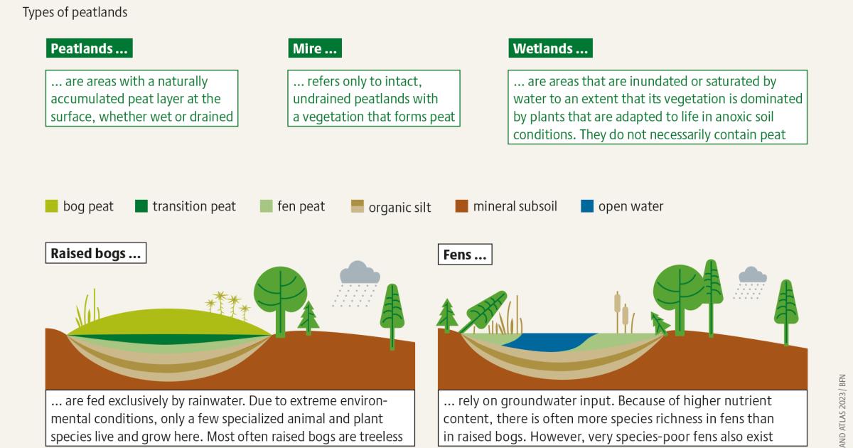 Bogs & Fens: What's the Difference, for Peat's Sake!? – Great Ecology