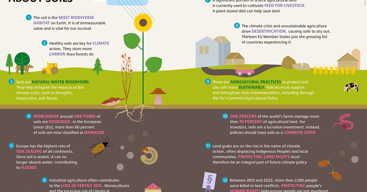 12 brief lessons about soils | Heinrich Böll Stiftung | Brussels