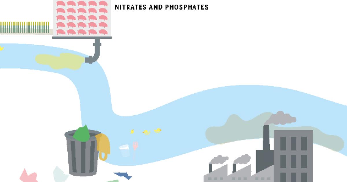 Trash in the Surf, Poison in the Sea Heinrich Böll Stiftung