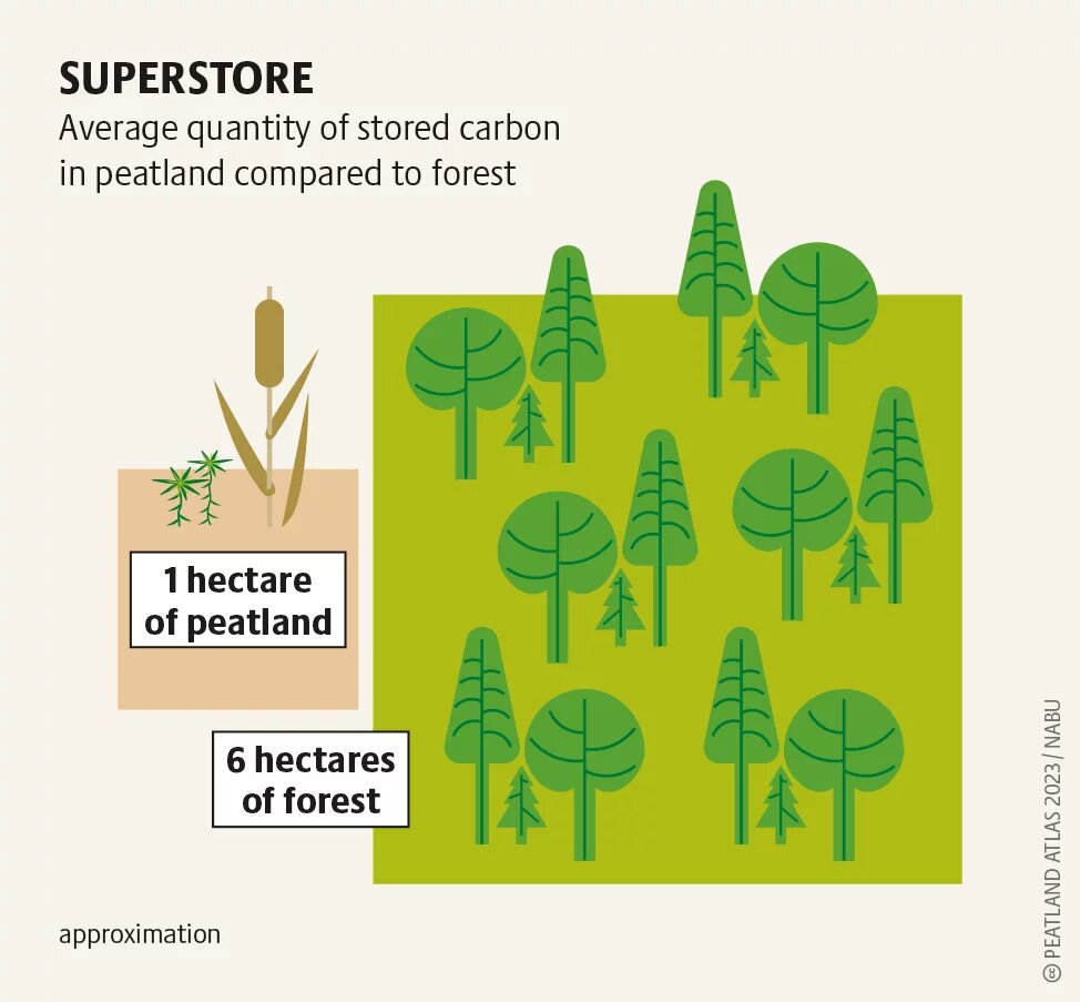 PeatlandAtlas2023_Grafik_26.png