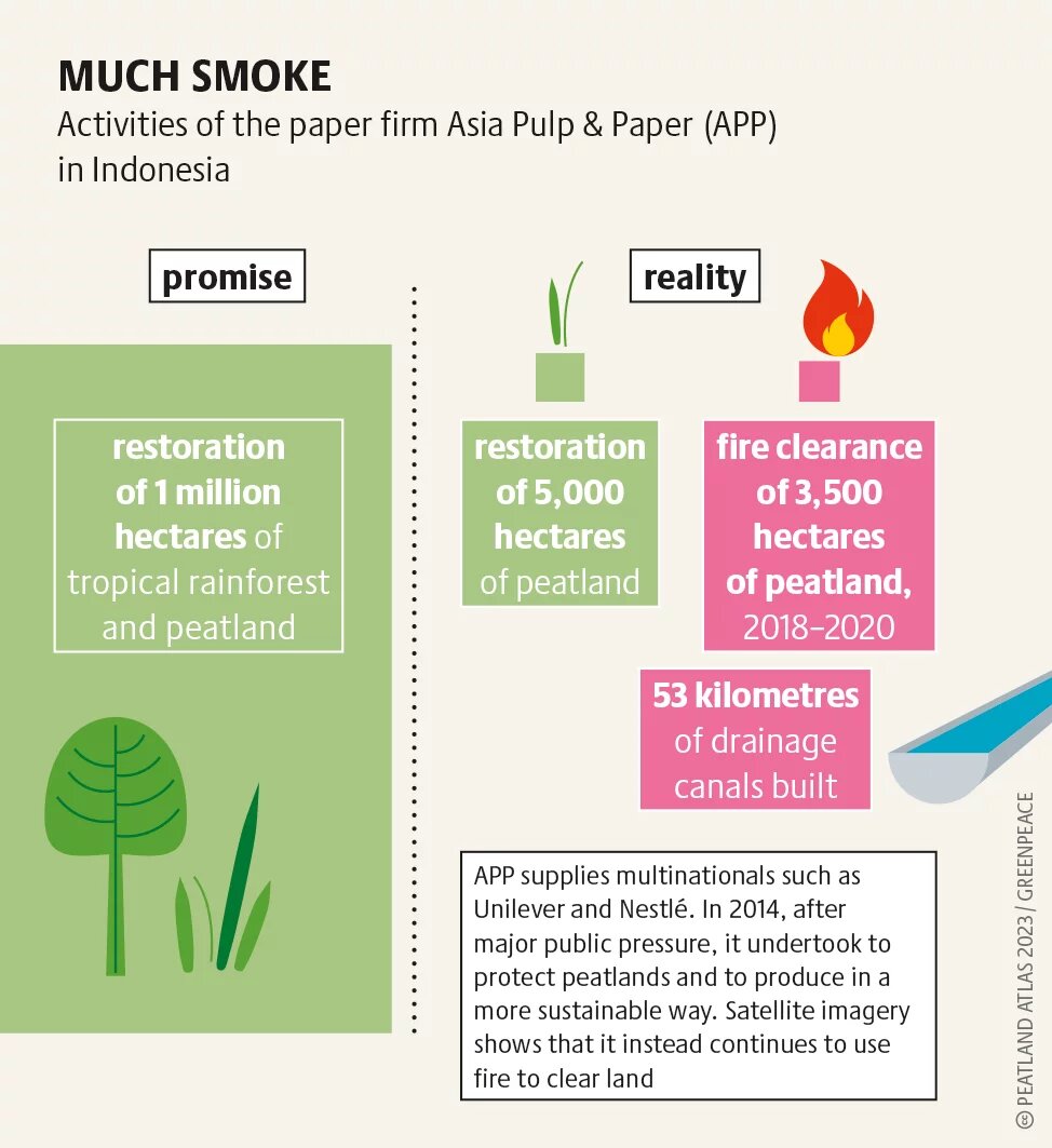 PeatlandAtlas2023_Grafik_31b.png