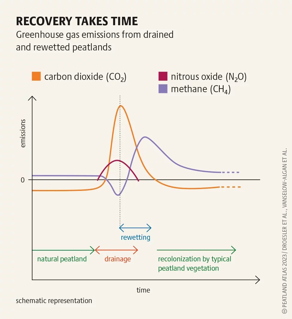 PeatlandAtlas2023_Grafik_33b.png