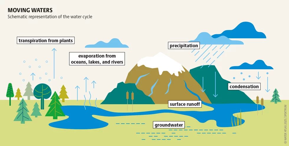 Human interventions alter the water cycle. In the Congo Basin, deforestation of the rainforest could cut local rainfall by 10 percent