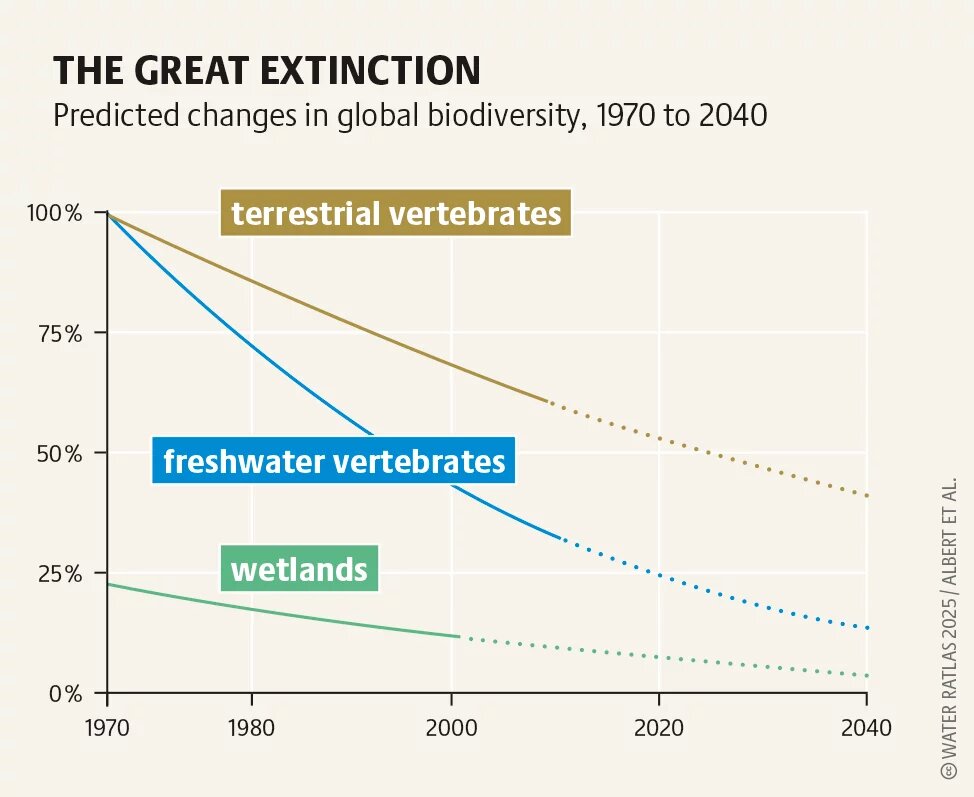 THE GREAT EXTINCTION