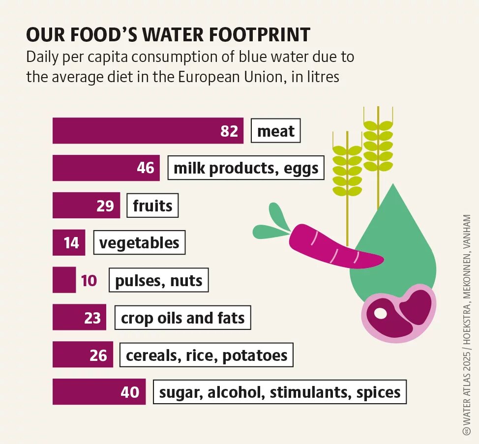 OUR FOOD’S WATER FOOTPRINT