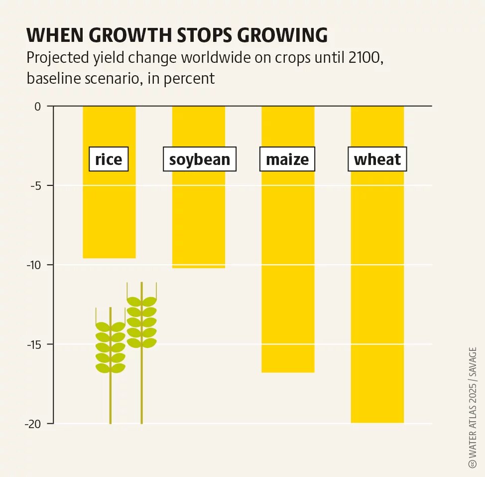 WHEN GROWTH STOPS GROWING