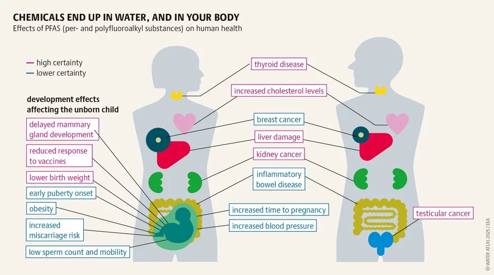 CHEMICALS END UP IN WATER, AND IN YOUR BODY