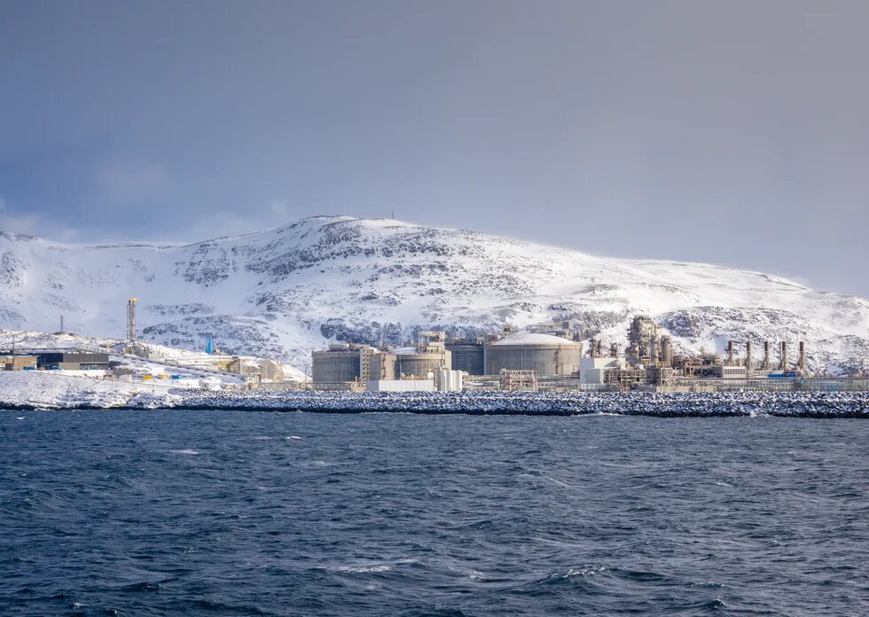 © LouieLea / Shutterstock