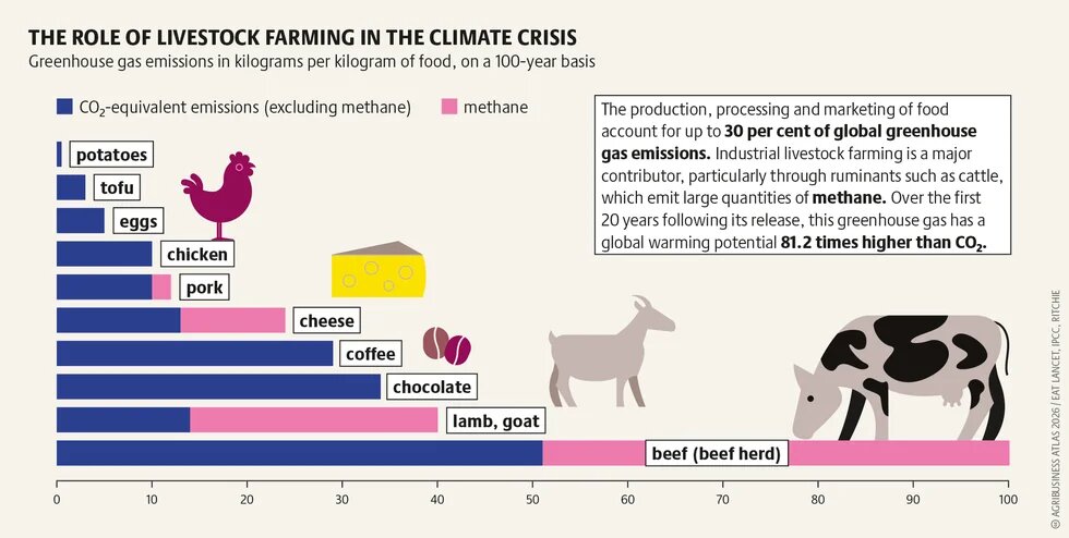 agribusinessatlas2026_graphic_14.png