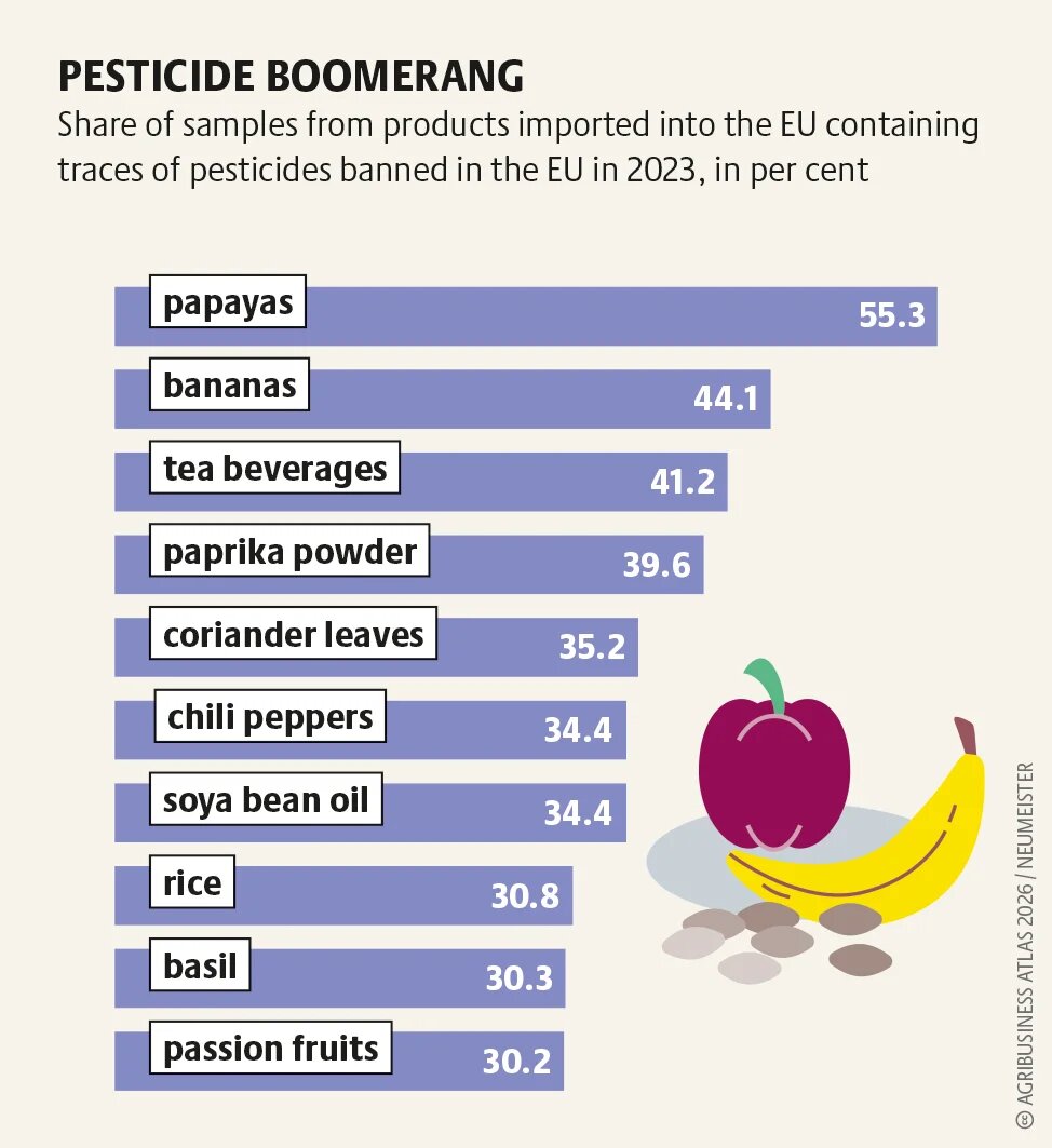agribusinessatlas2026_graphic_20.png