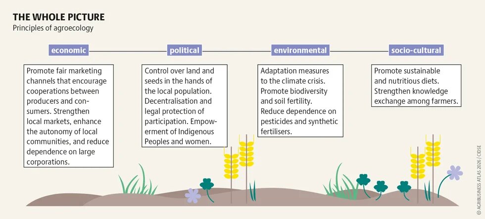 agribusinessatlas2026_graphic_42.png