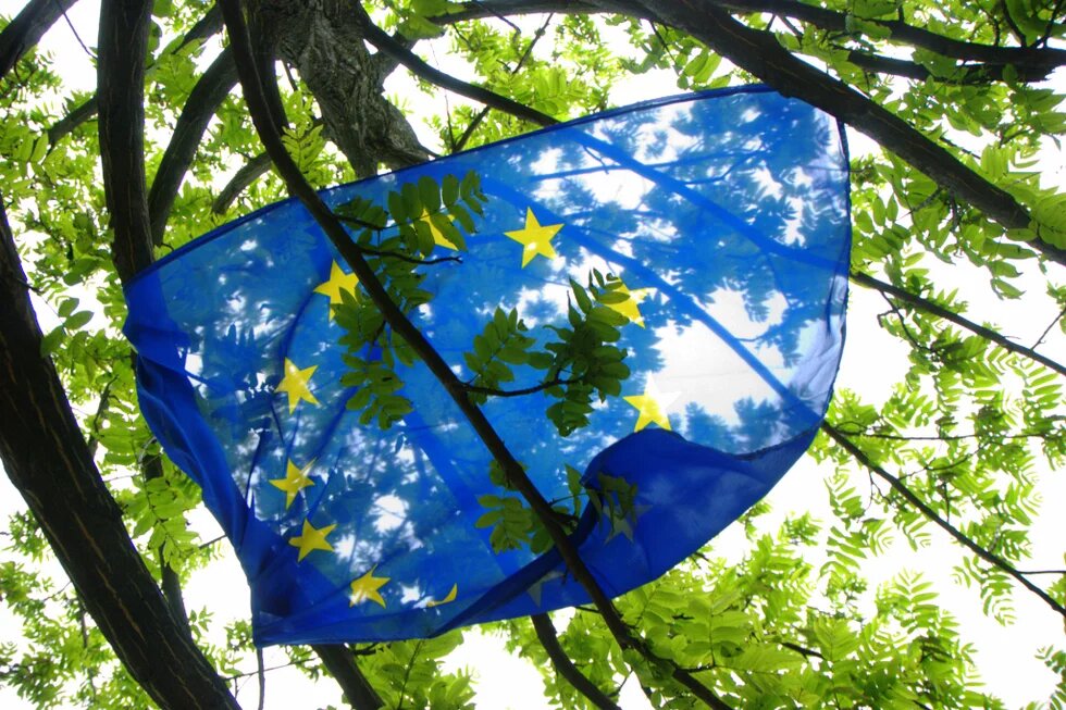 EU Flag