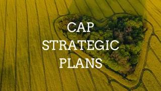 CAP Strategic plans