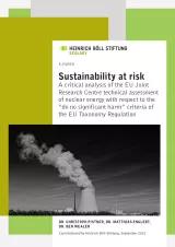 Sustainability_at_risk_2021_cover_final.png