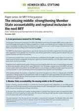 05-the-missing-middle-strengthening-member-state-accountability-and-regional-inclusion-in-the-next-mff_page_1.png